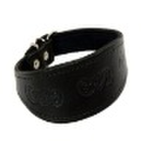 leather dog collar