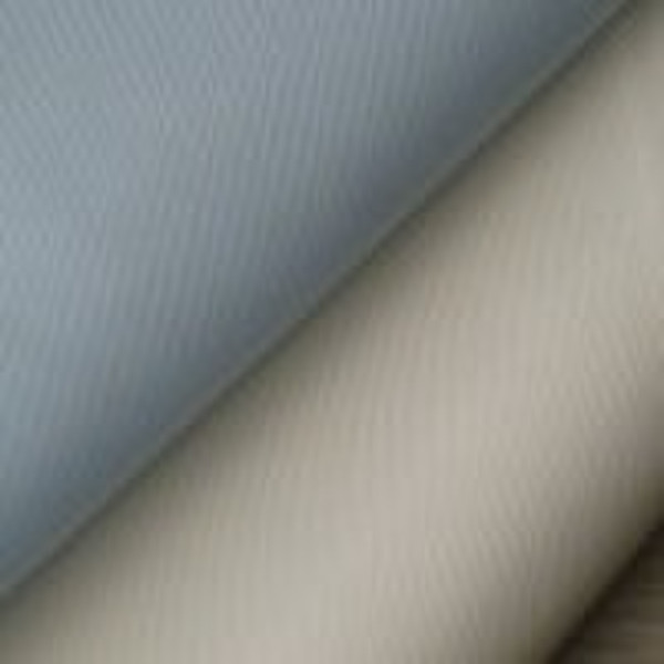 Nylon cotton oxford  fabric