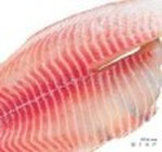 tilapia fillet