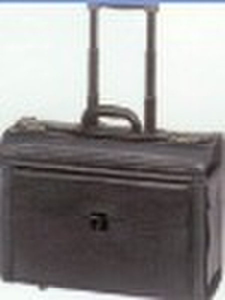 leatherette trolley case