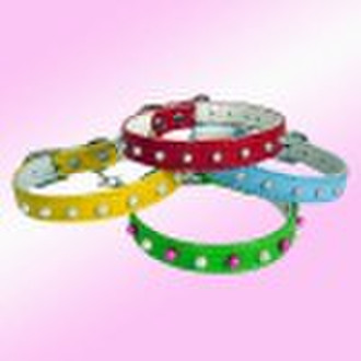 Dog Collar/Pet Collar/Pet Leash/