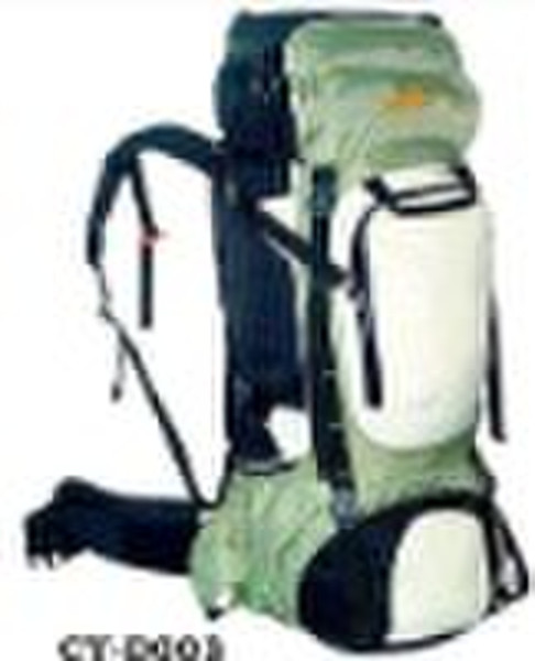 2010 Hot Wanderrucksack (CY-D004)