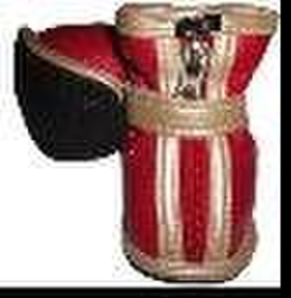 fashionable pet shoes