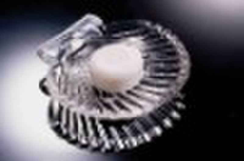 SEA SHELL SOAP DISH