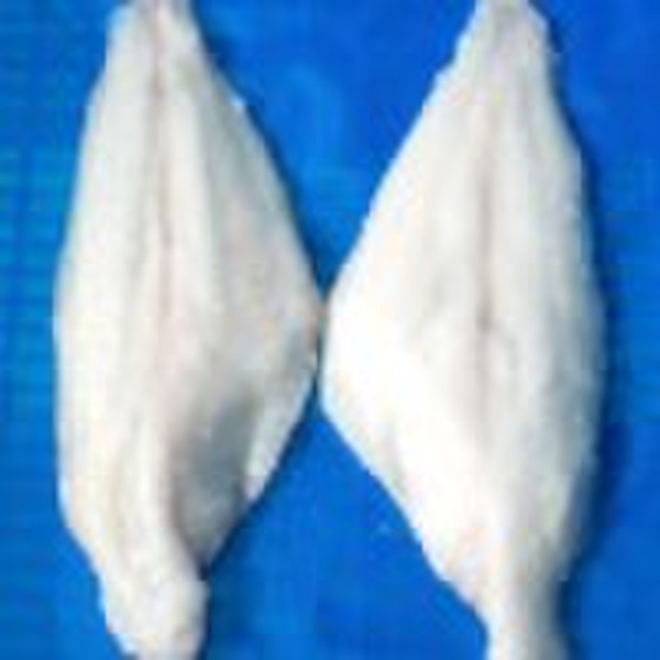 Channel Catfish  Fillet (Ictalurus punctatus)