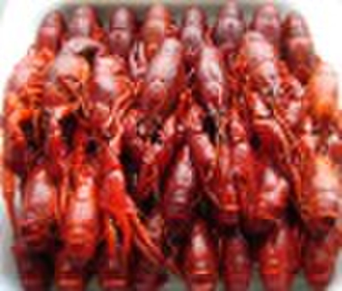 Whole Cooked  Cajun Crawfish