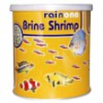 brine shrimp