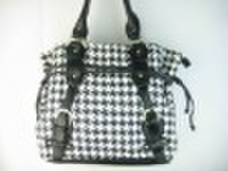 2010 Fashion women's handbag in Yiwu