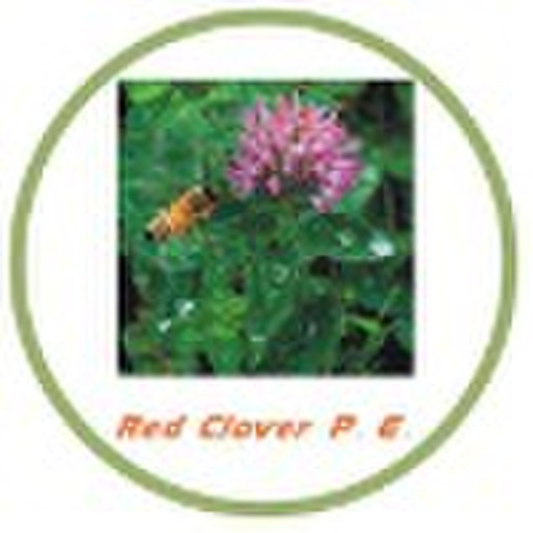 Natural Red Clover Extract