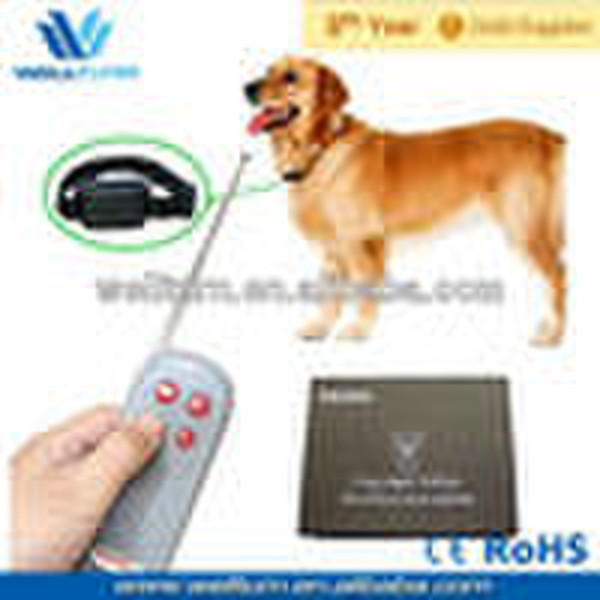 Dog barking training(WT709)