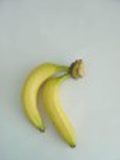 Artificial Banana