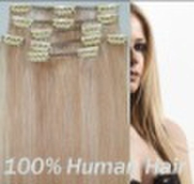 clip in human hair extension