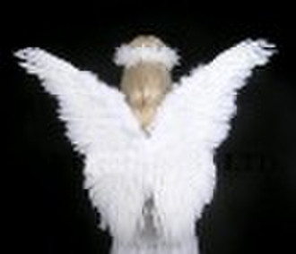 是天使的翅膀