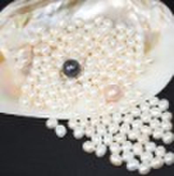 freshwater pearl  (4.0-5.0mm rice)