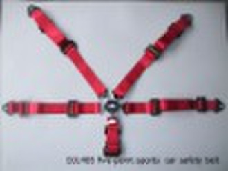 racing car  seat belt(4 and 5 point)