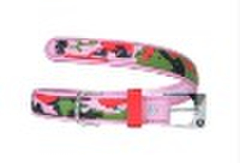 PVC pet collar