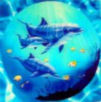 3D Lenticular Wall Decarative Pictures with Frame