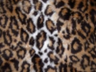 Jacquard Fur