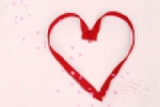 Nylon Zipper,Long Chain and Finished Zipper