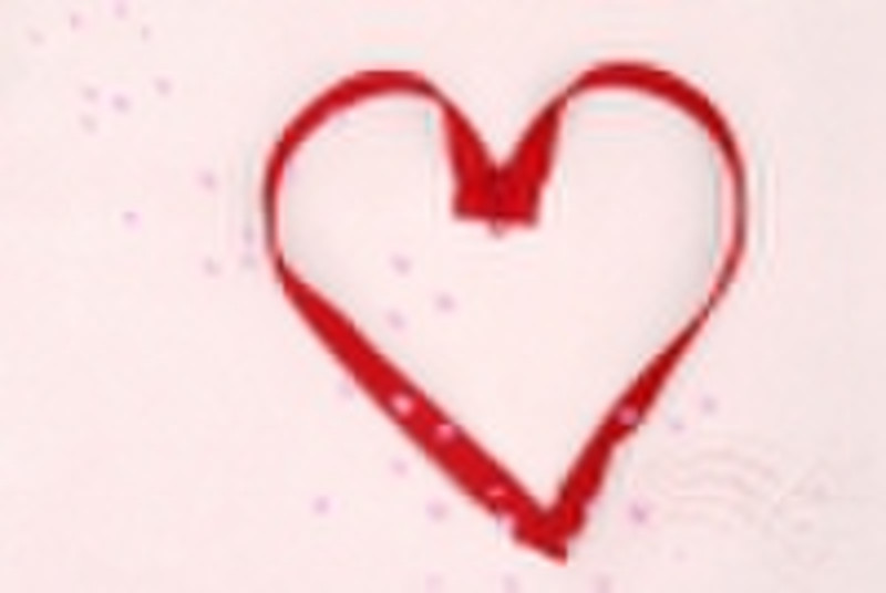 Nylon Zipper,Long Chain and Finished Zipper