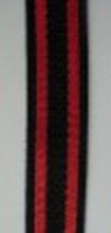 Plain weave polyester ribbon