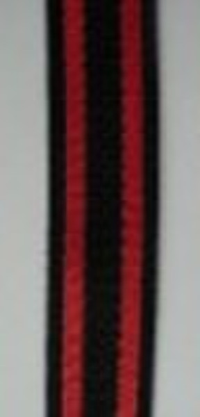 Plain weave polyester ribbon