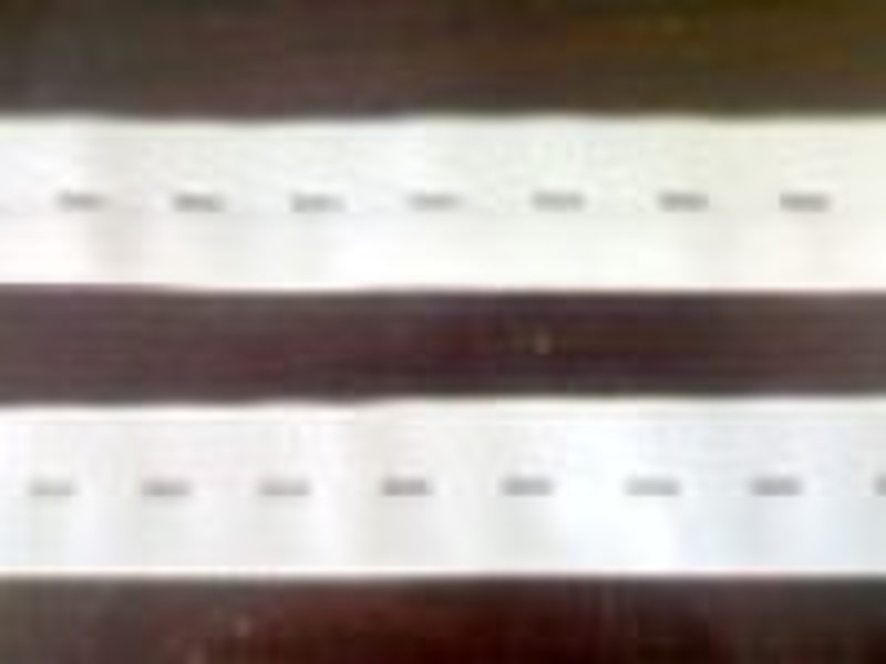 Button elastic webbing