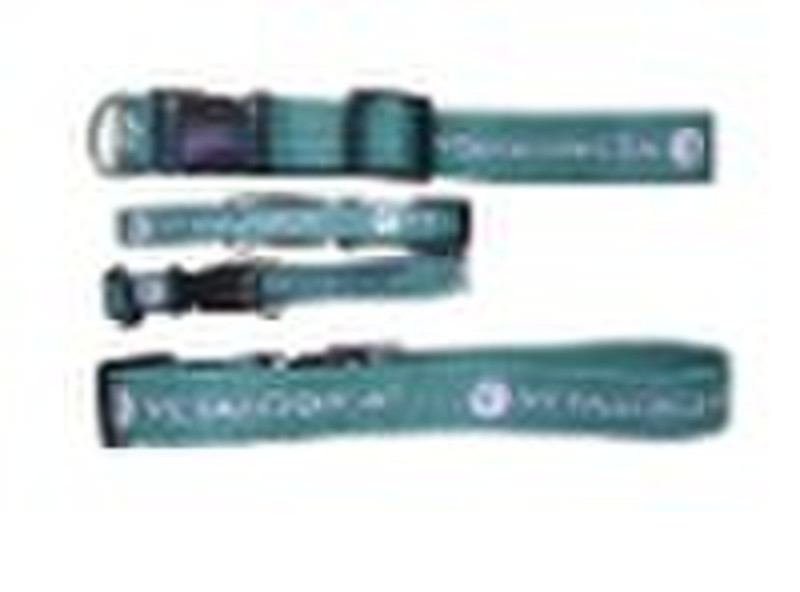 dog collar