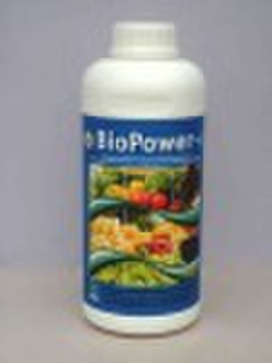 Plant food "BioPower-a", fermented seawe