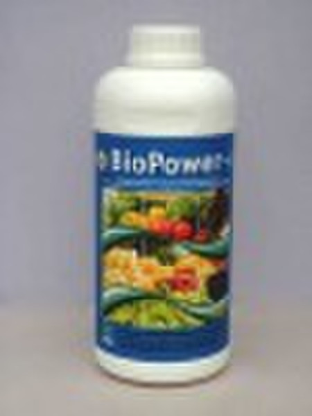 Plant food "BioPower-a", fermented seawe