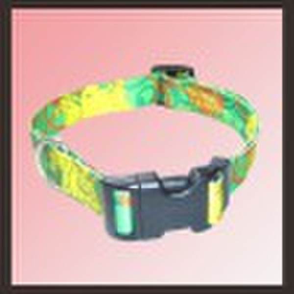 chain dog collars with heat transfer printing Logo