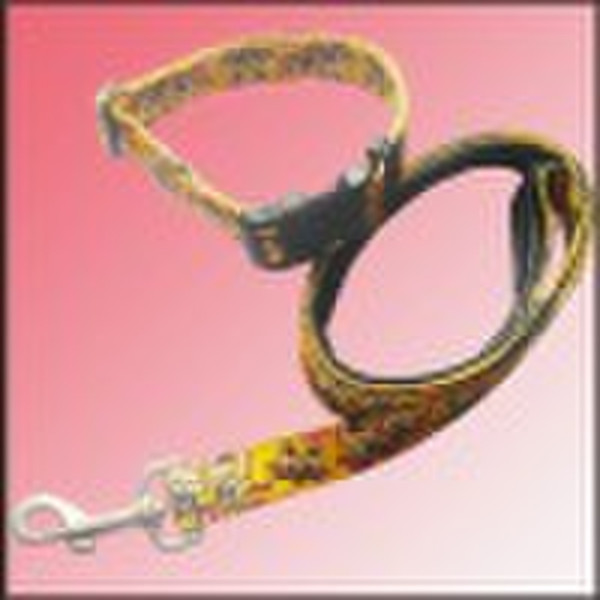 dog lead for small dog