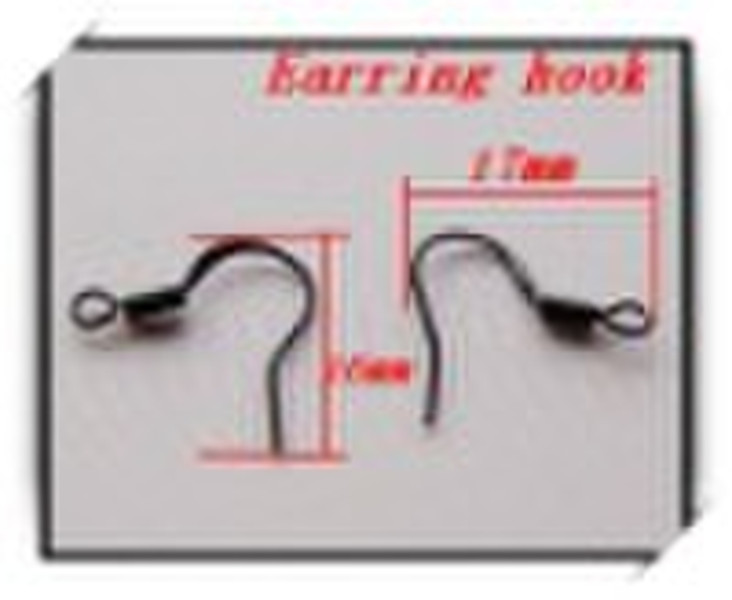 earring hook