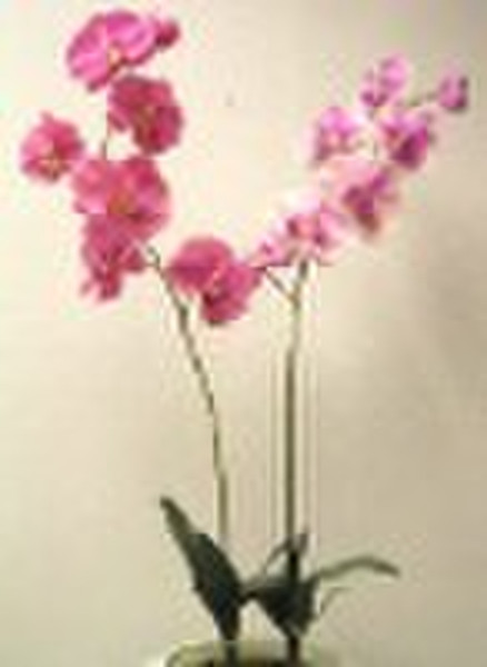 34 "lg.Phalaenopsis Орхидея искусственный цветок р