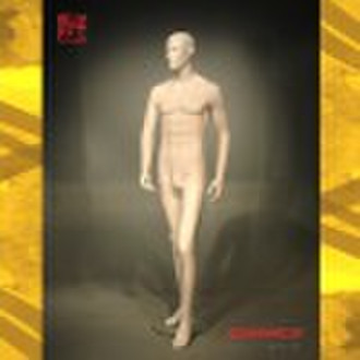 Male Mannequin