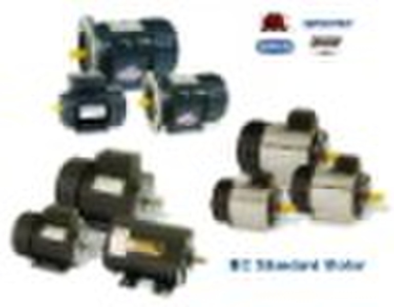 IEC Standard Motor