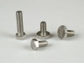 Stainless steel screws