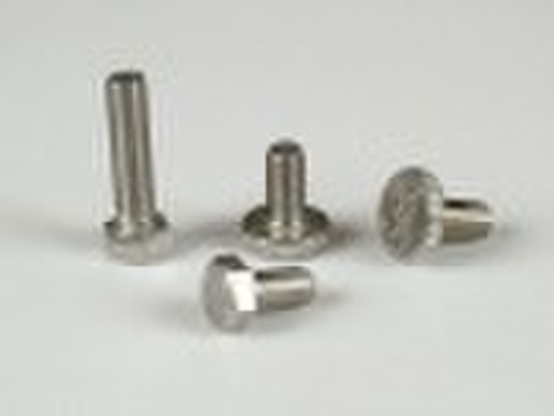 Stainless steel screws