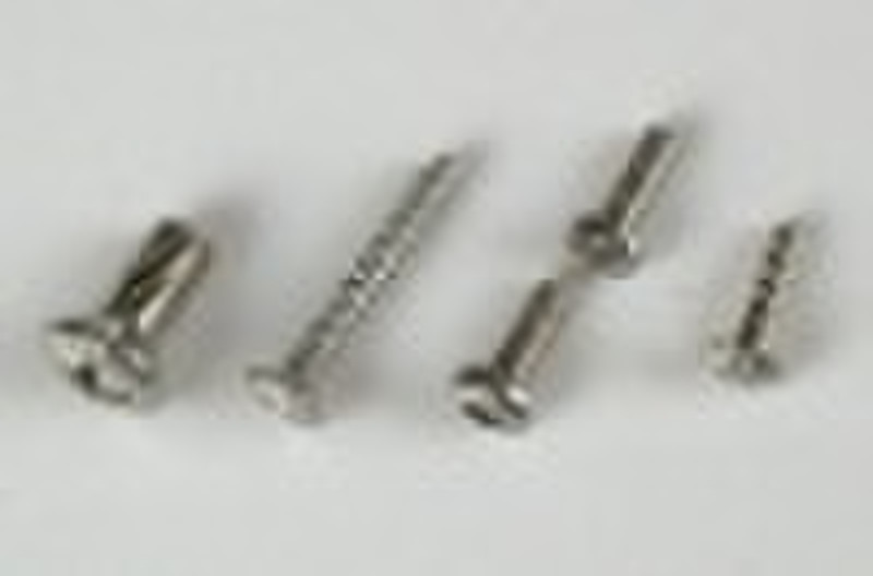 Stainless steel screws