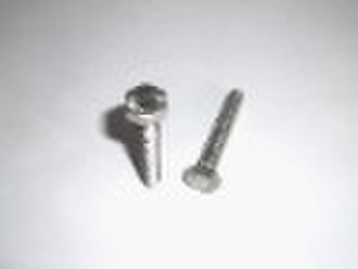 Hex Screw
