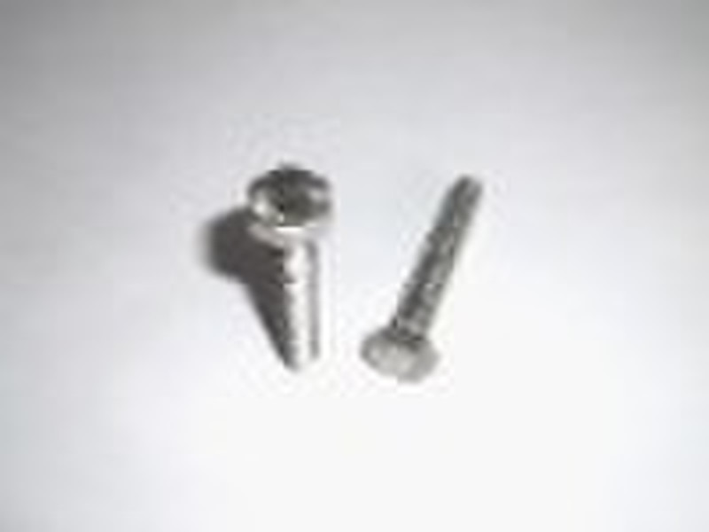 Hex Screw