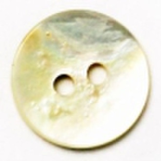 Seashell Buttons