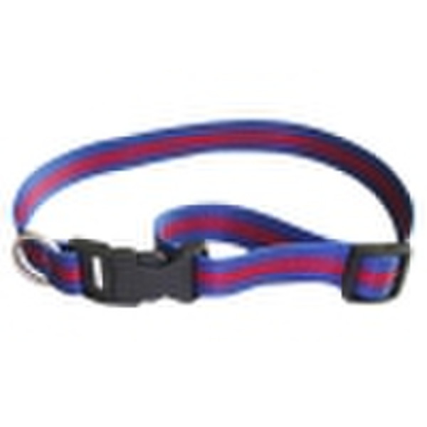 dog collar
