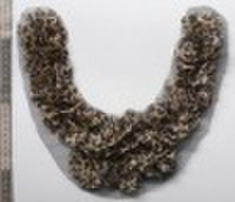 collar motif