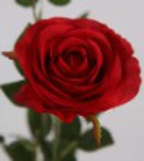 розовая роза свадебный цветок