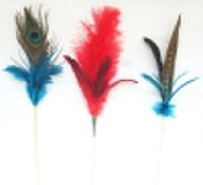 feather pick