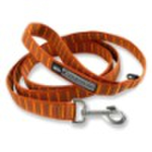 dog collar leash