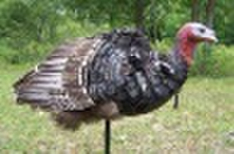 Hunting Turkey Decoy