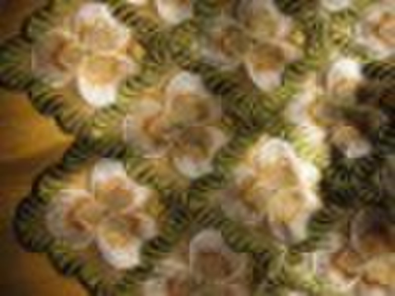 Embroidery Lace  Swiss Lace  Cotton Embroider  lac