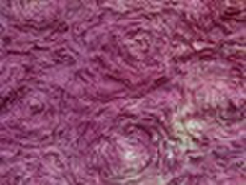 100%polyester embroidery tie dyed chiffon